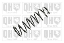 Suspension Spring Rear Fits